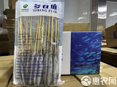 多春鱼满籽 新鲜冷冻的海洋珍品与烧烤佳选