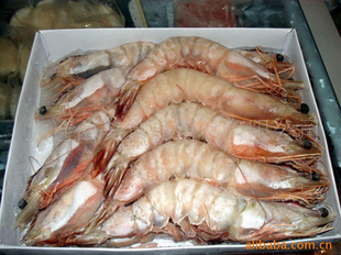澳洲明虾 从澳大利亚到中国大连的冷冻加工与批发市场分析