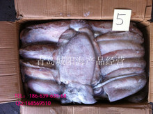 冷冻粗加工黑鱼 阿里巴巴平台上的水产品批发与供应指南