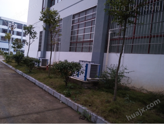 保鲜冷库 水产品冷冻加工的技术革新与市场机遇