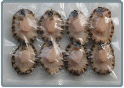 水产品冷冻加工全解析 从优质鲍鱼肉市场看市场趋势与规范