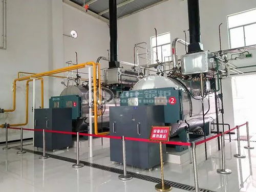 绿色引擎赋能蓝色经济 中正燃气锅炉携手省级名企助力水产品深加工新突破