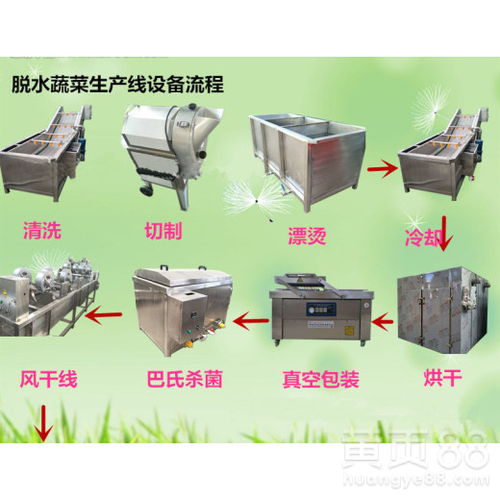 速冻玉米深加工中的清洗设备关键技术与定制方案