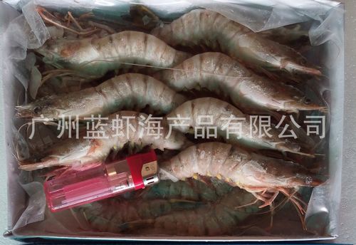 锁定一手货源 越南草虾19号冷冻水产品的批发优势与经营之道