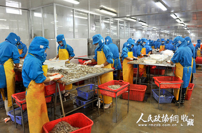 还君明珠终有时 北海市水产品冷冻加工的机遇与挑战